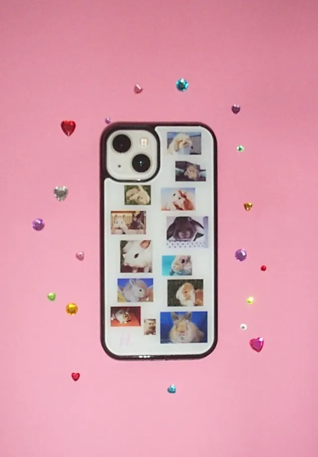 bunnys case