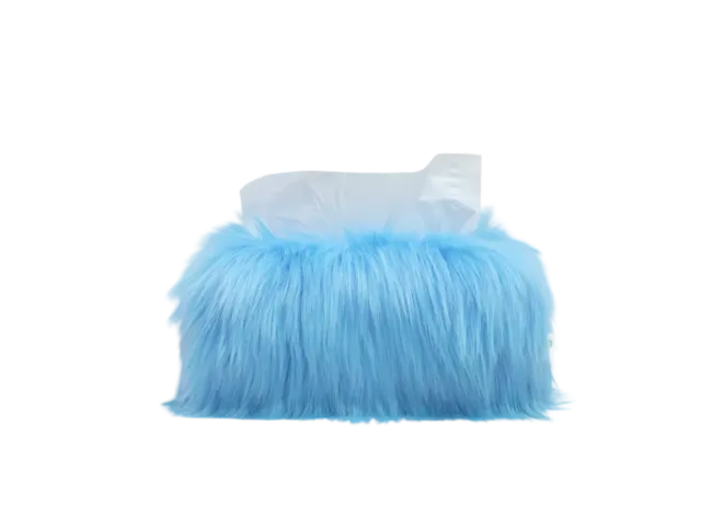 poil tissue case