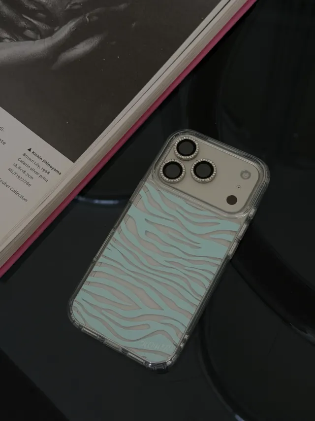 zebra case