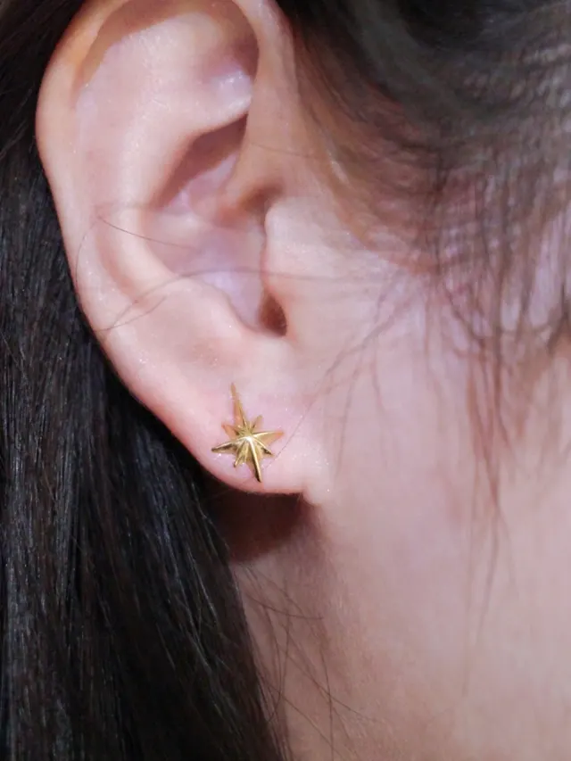 Polaris Earrings - Gold