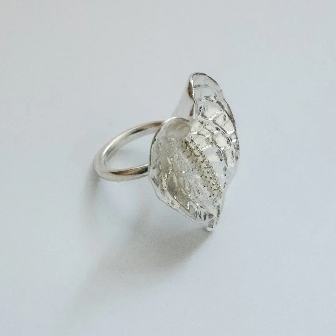 product img 1