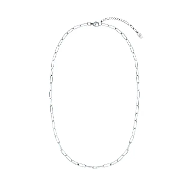 Clip Link chain Necklace