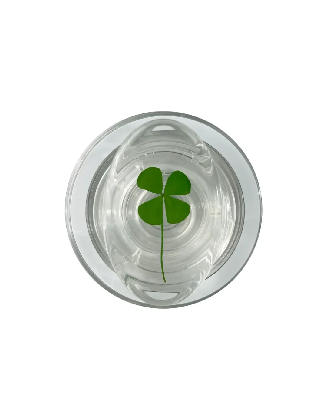 product img 1