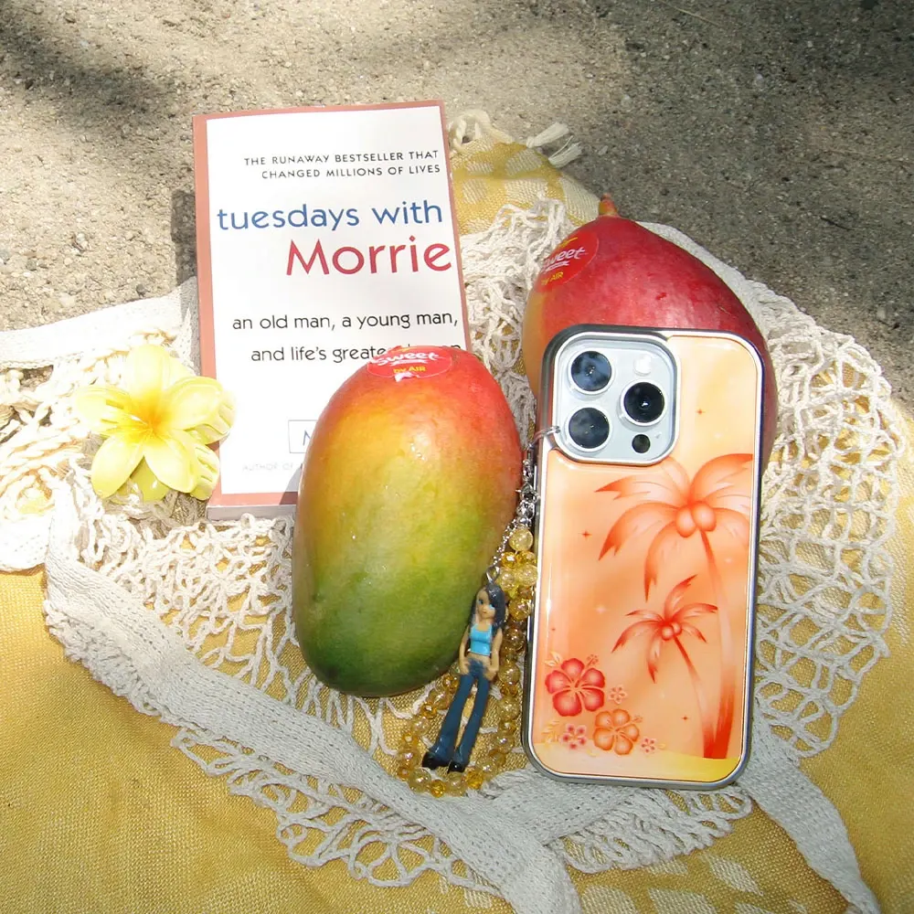 product img 2