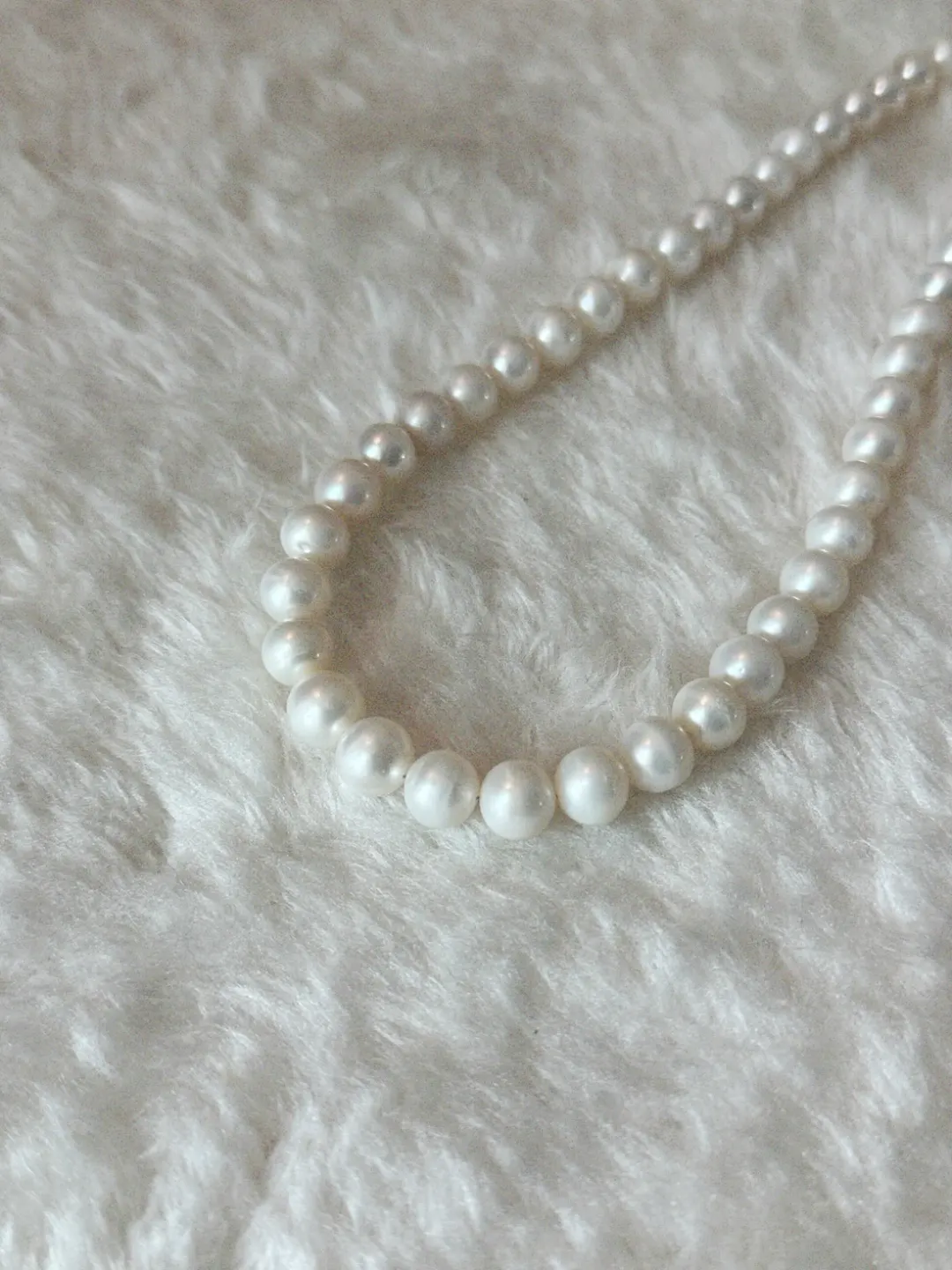 product img 5